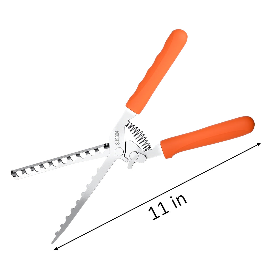 Stainless Steel Rib Membrane Remover for BBQ